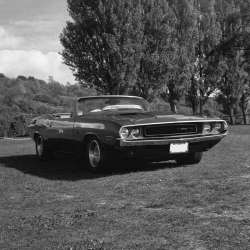 dodge_challenger_cab.jpg